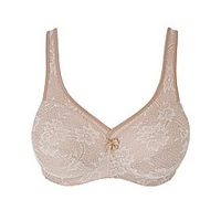 Lace Bras Lace Bras
